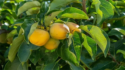 pexels-emilio-sanchez-hernandez-285921208-34184575 pexels-emilio-sanchez-hernandez-285921208-34184575